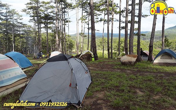 Zoodoo-Da-Lat-2019-06