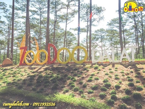 Zoodoo-Da-Lat-2019-25