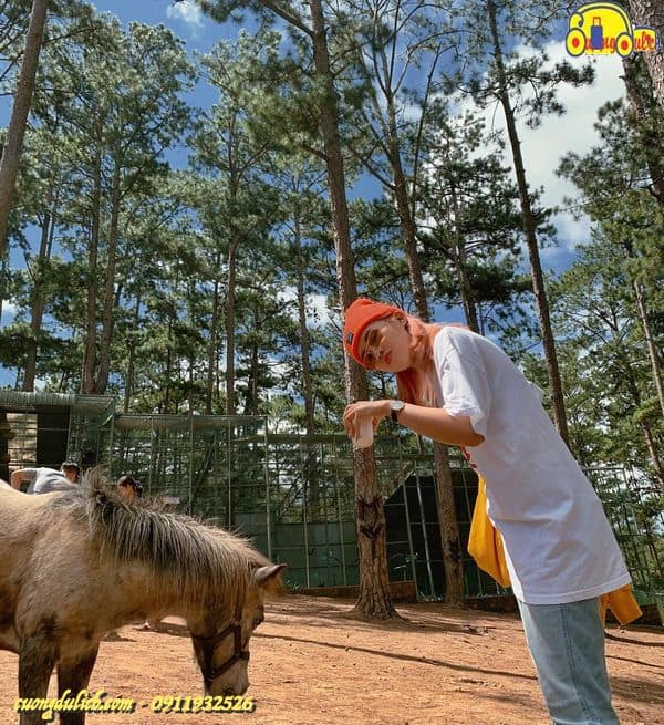 Zoodoo-Da-Lat-2019-10