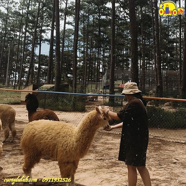 Zoodoo-Da-Lat-2019-09