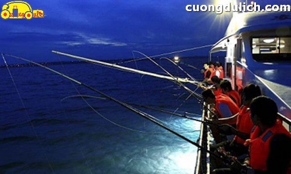 cau-muc-dem-phu-quoc00005