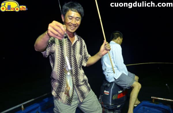 cau-muc-dem-phu-quoc00023