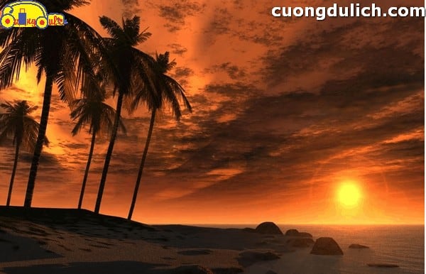 cau-muc-dem-phu-quoc00019
