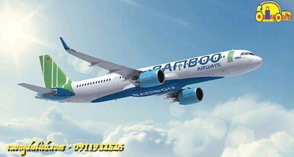 Bamboo-Airway-2019-14