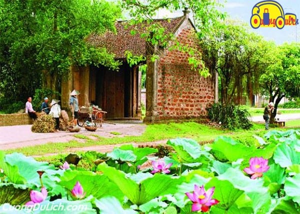 duong-lam-co-tran-2
