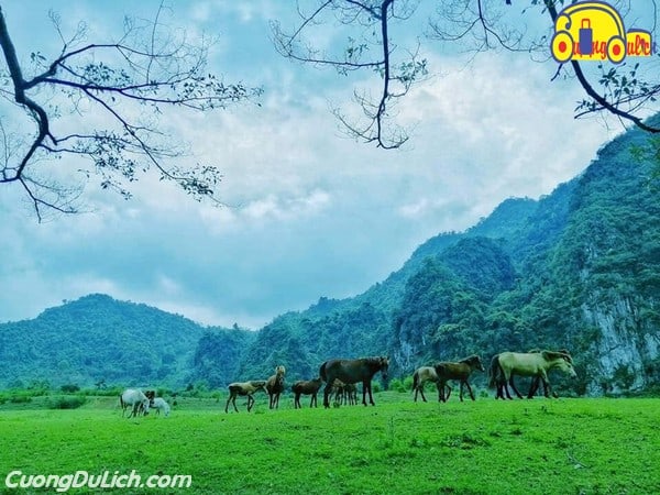 huong-dan-di-du-lich-lang-son-1