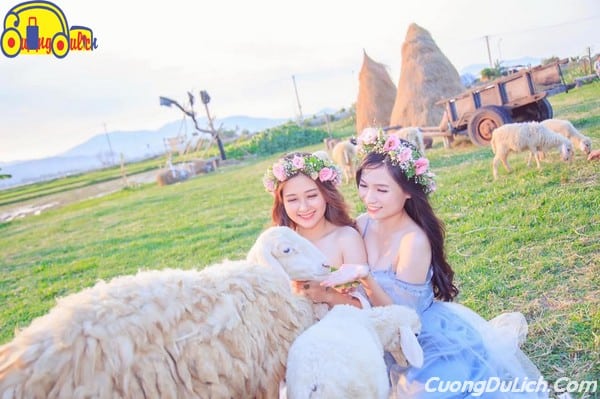 huong-dan-di-dong-cuu-suoi-tien-nha-trang-2