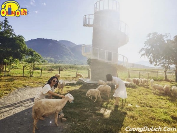 huong-dan-di-dong-cuu-suoi-tien-nha-trang-10