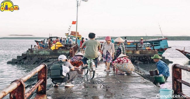 huong-dan-di-dao-thanh-an-can-gio-6