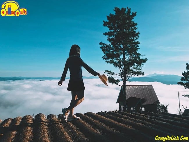 huong-dan-di-san-may-da-lat-3