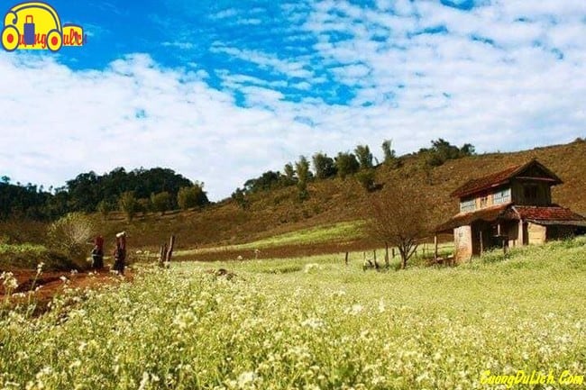 huong-dan-di-moc-chau-son-la-7