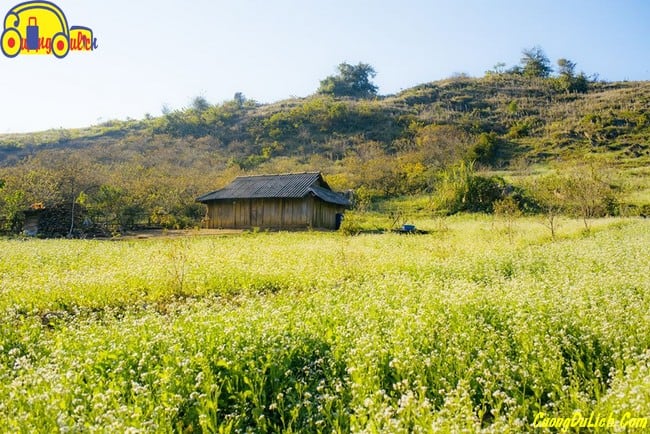 huong-dan-di-moc-chau-son-la-2