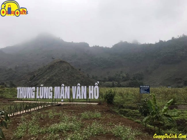 huong-dan-di-moc-chau-son-la-4