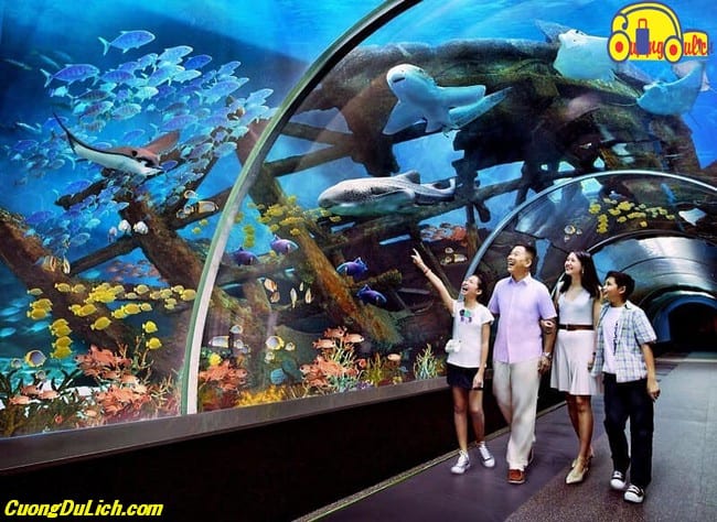 vinwonders-nha-trang-co-gi-2