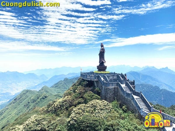 huong-dan-di-cap-treo-fansipan0003
