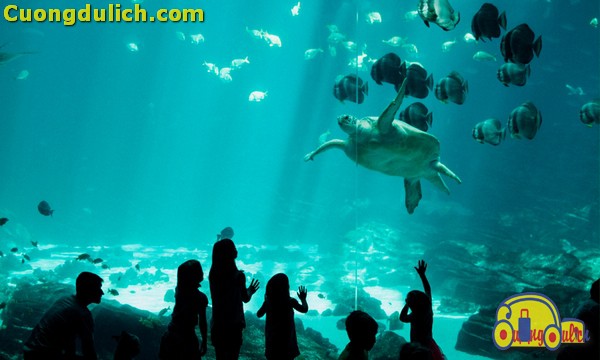 vinwonders-phu-quoc00002