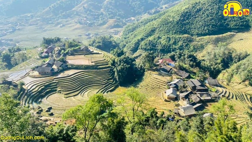 ban-lao-chai