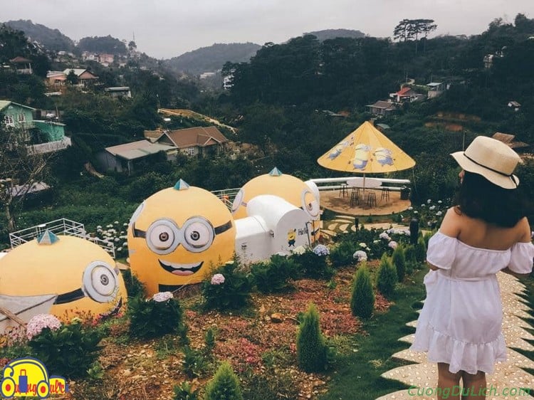Comparing homestays and hotels in Da Lat to know where you went wrong
