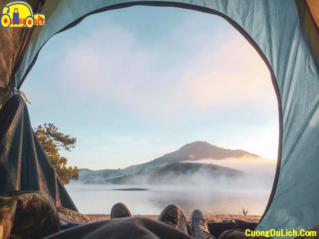 Diary of Camping at Lonely Pine Tree in Dalat with only 500k