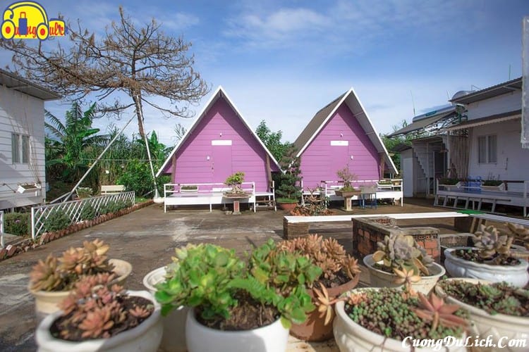 Experience booking homestays and hotels in Da Lat SUPER STANDARD