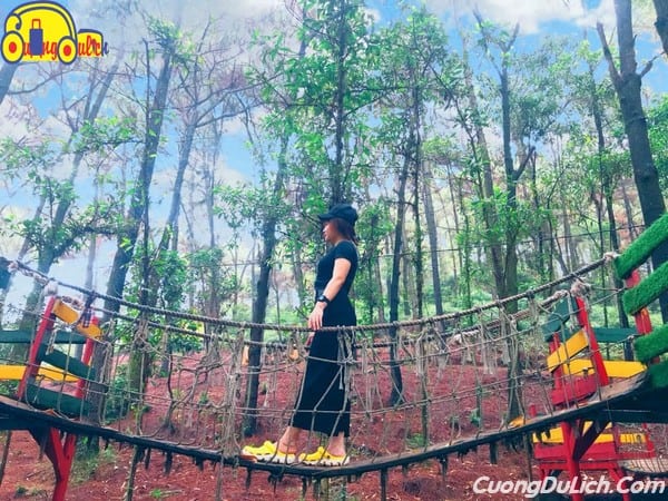 Experience going to Ban Rom Picnic with friends from Hanoi