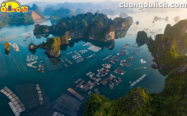 Experience visiting Bai Tu Long Bay - an unmissable destination when traveling to Ha Long