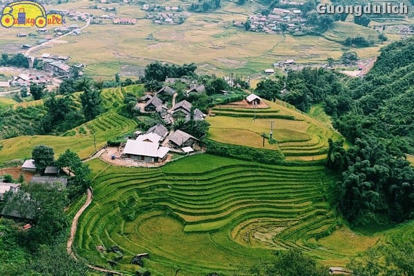 Exploring Tả Van Sapa - Detailed Sharing of Experiences