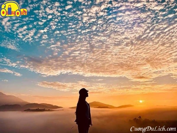 "Guide to One-Day Dalat Itinerary from Dawn to Late Night"