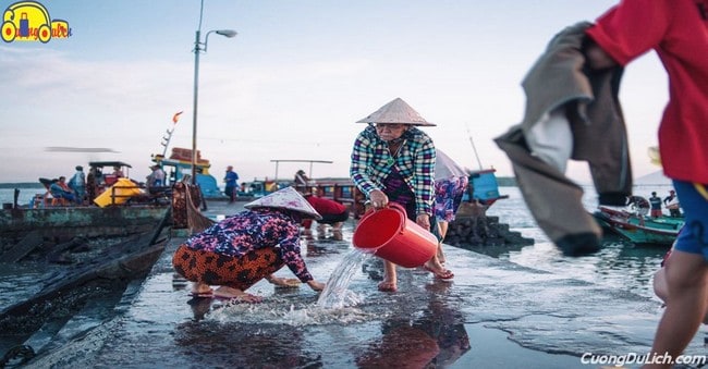 Guide to Traveling to Thanh An Island - Can Gio - Ho Chi Minh City from A to Z