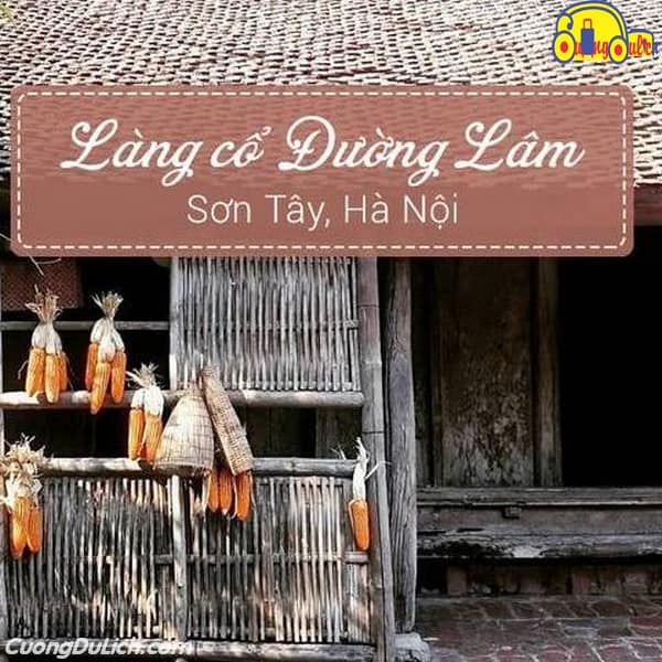 Guide to a one-day trip to Duong Lam Ancient Village [Duong Lam Ancient Town]