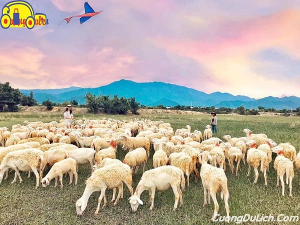 Guide to go to Dong Cao Suoi Tien from Nha Trang Khanh Hoa