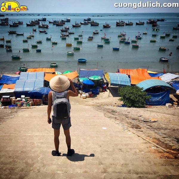 Guide to shopping without being ripped off at Mui Ne seafood market