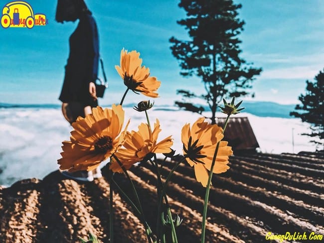 How to Hunt Clouds in Da Lat Perfectly