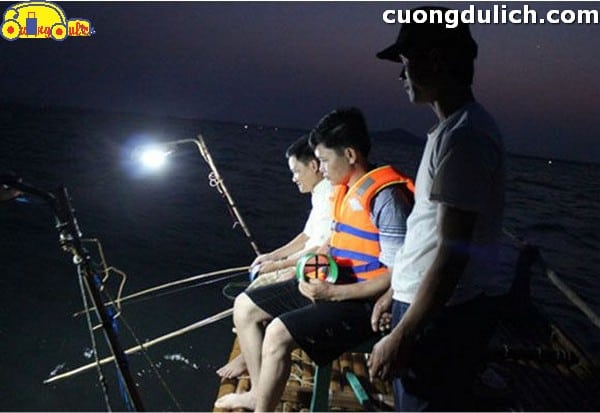Night Squid Fishing Experience in Phu Quoc by Local Experts