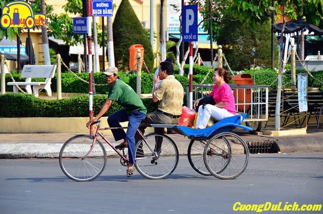Oxcart - an intriguing mode of transportation in the Mekong Delta