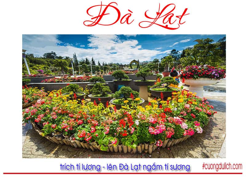 Pocket 26 unforgettable travel destinations in ĐÀ LẠT
