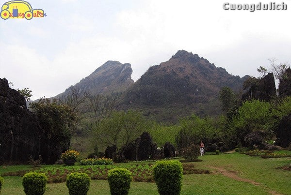 Sharing experience of climbing Ham Rong Mountain in Sapa - Fast and Safe