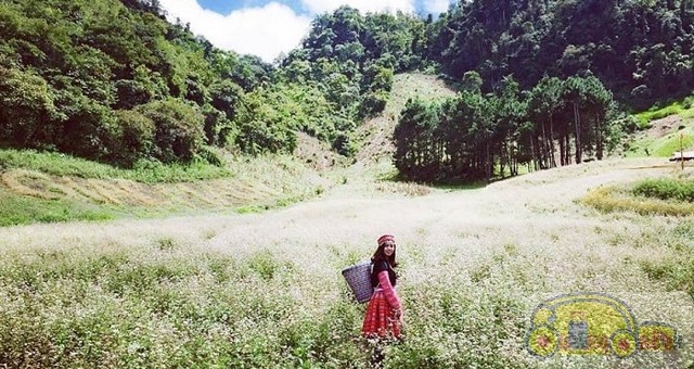 TOP 16 most ATTRACTIVE tourist destinations in Vietnam: Have you been to any of these places?