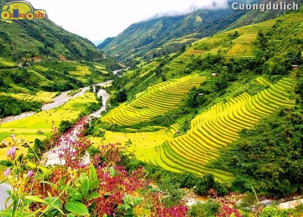 The most detailed review of Tả Phìn Sapa version