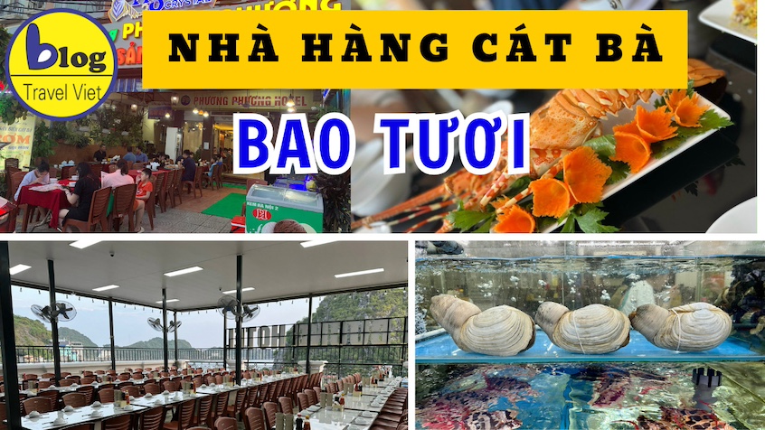 Top 6 Cat Ba Restaurants with Fresh and Delicious Seafood at Affordable Prices