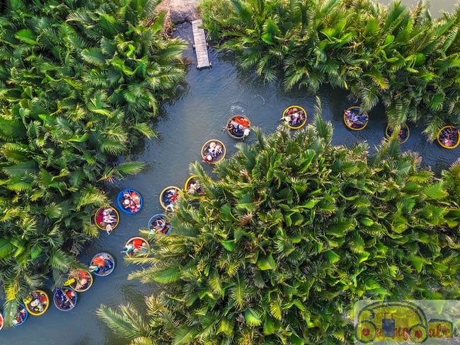 Traveling to Hoi An: Detailed review of the Seven Beauties Coconut Forest tourism area
